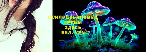 таблы Алексеевка