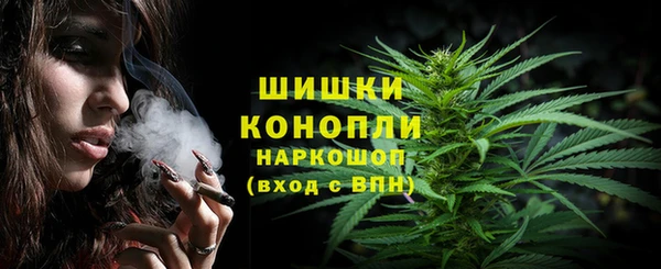 спайс Алексин